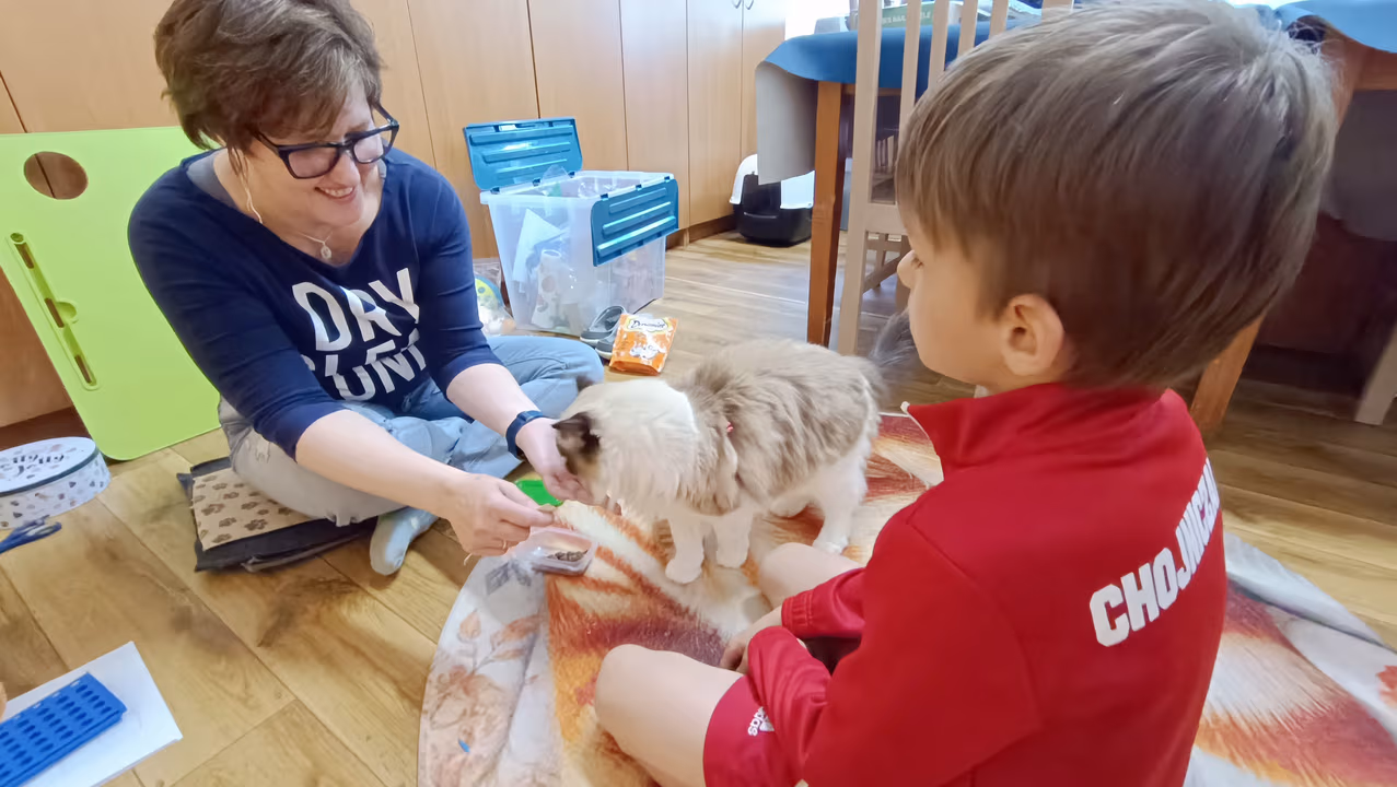 Zdjęcie 16